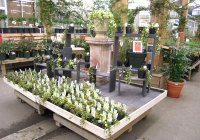 20100405_o_3 20100405_o_3