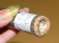 20070718_sg_02 20070718_sg_02