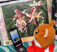 20080410_magameponi_02